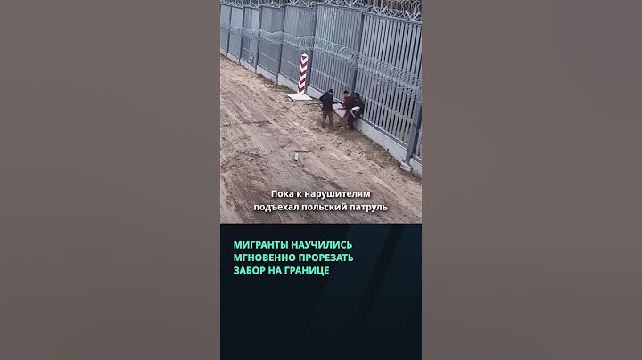 Мигранты научились мгновенно прорезать забор на границе с Польшей #беларусь #новости #граница