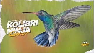 Kolibri Ninja Full Isian Tembakan Mewah