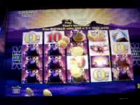 buffalo gold max power slot