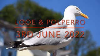 Looe & Polperro 3rd June 2022
