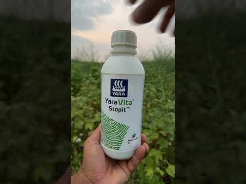 yara Vita stopit