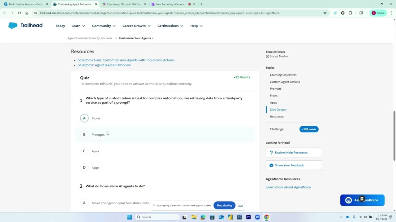 Agent Customization  Quick Look