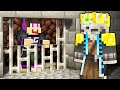 I Trapped My Friends in a PRISON Maze! (Minecraft SMP)