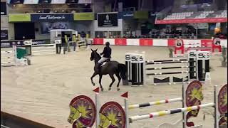 Pittman Vh Lilleveld Diamant De Semilly X Toulon Csi Opglabbeek