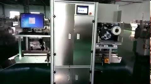 Automatic Case Labeling Machine with  Zebra Printer