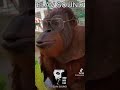 ELAV SOUND بوز الفقر 