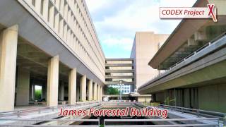 Famous CODEX Engineering Wealth