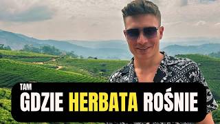 Indyjska herbata i Ajurweda - czy to idealne lekarstwo na stres?