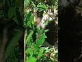 Funny cats 😂 episode 06 | 🤣😅 New Funny Cats Videos 😸😸#shorts