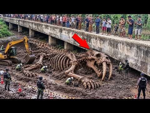 Thought It Was Just Rocks, But It Turns Out… Strange & Shocking Discoveries That Appeared When Wa...