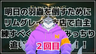 【ELDEN RING】 今日の羽蟲打倒の為に田舎のジムで自主練 ２回目【頬白凪】