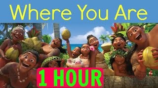 1 Hours Where You Are moana Soundtrack Loop