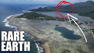 Who is Destroying this Jungle in Micronesia?