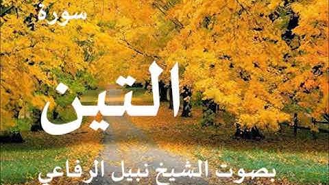 095 سورة التين بصوت نبيل الرفاعي