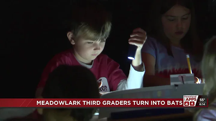 Meadowlark Third Graders turn into bats