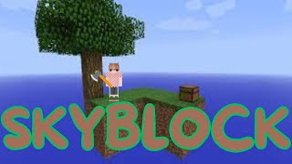 SKYBLOCK ATTEMPT!