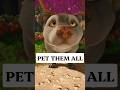 Pet cute alien animals in this new game                 #animals #gaming #gamingnews #newgame #pets