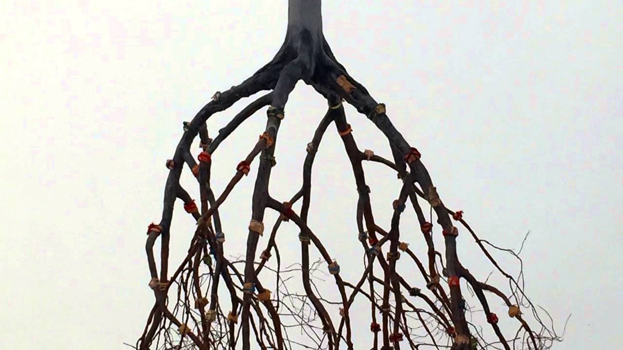 Meditation Music Shiftings Flight