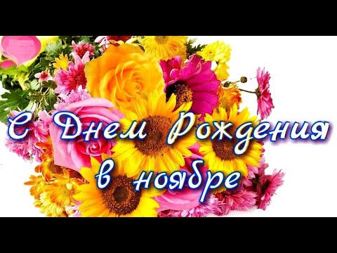 С Днём рождения в ноябре! очень шикарное поздравление. #видеооткрытки #анимация