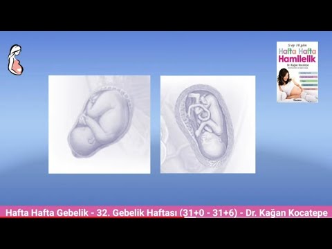 Video: 32 haftada bir fetal ağırlık ne kadar olmalıdır?