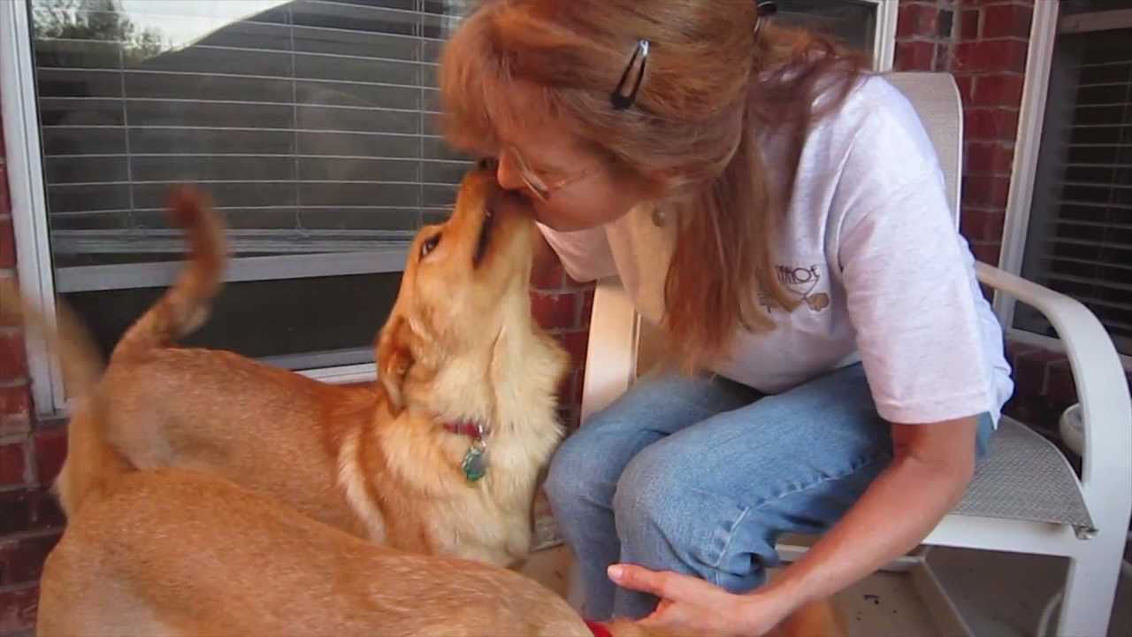 Rockwall Pets Volunteers