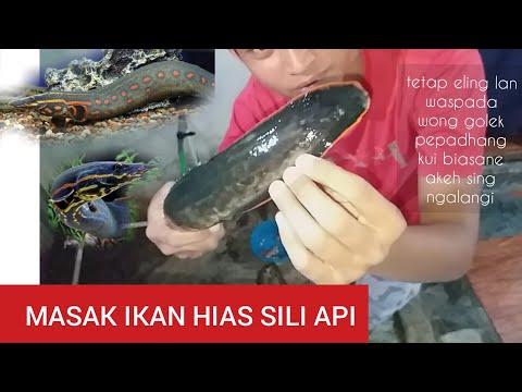 Cara Memasak Ikan Sili