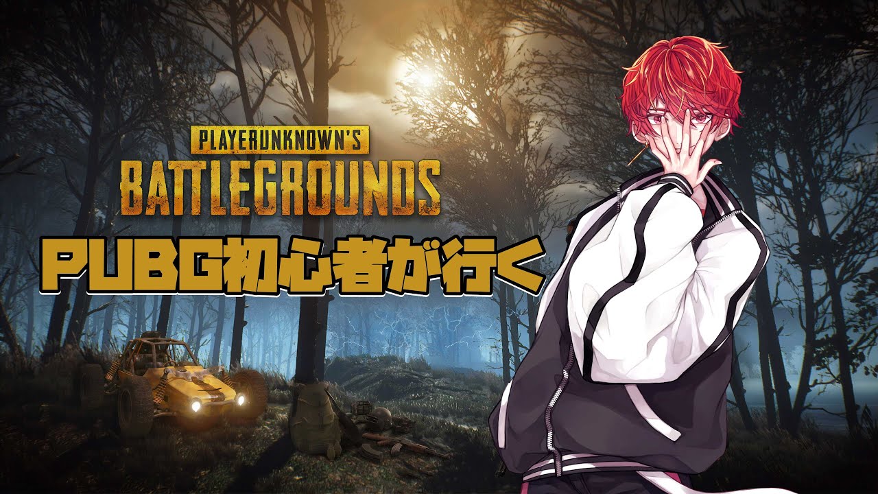 【PUBG】夜活PUBG💪夜ドン勝つするしかない‼️やっぱりこれっしょ‼️僕のドタバタFPS💪コメントでたくさん応援してね[PUBG/JP&ezEN]