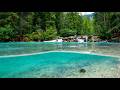 Forest River Serenity Let Go of Stress & Find Inner Peace| stream flowing sound, white noise