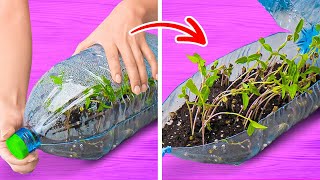 Green Magic ✨ Mind-Blowing Gardening Hacks Revealed