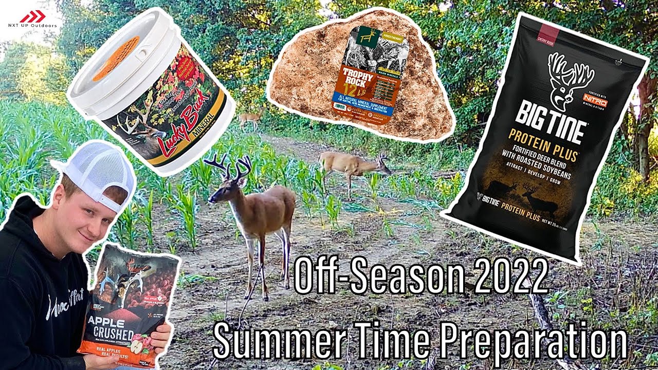 Deer Season 2022 Preparation! (Summer to Opening Day!!!)