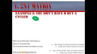 PlanProMatrix Powerpoint Presentation