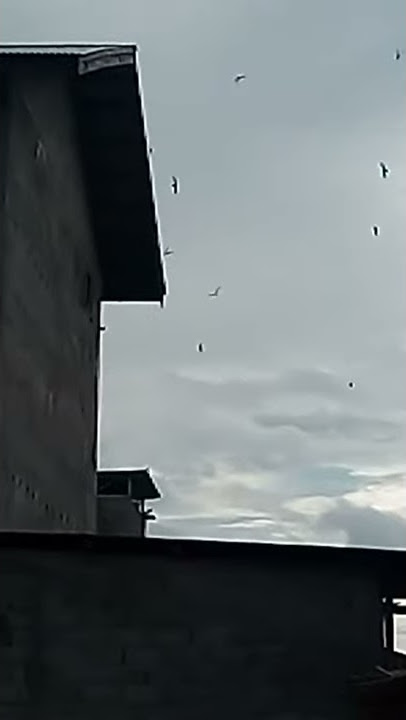 Sp hipnotis untuk segala musim