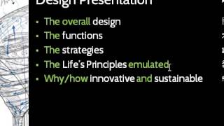 Your Biomimetic Design Project - first draft
