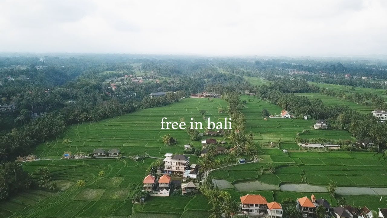 Free In Bali