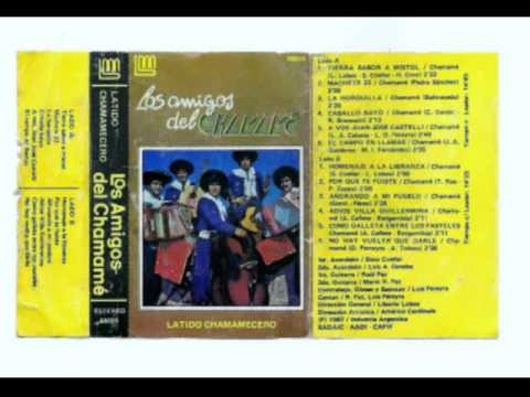 Los Amigos del Chamamé - Latido Chamamecero -DISCO COMPLETO- - YouTube