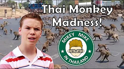 Thai Monkey Madness! - DayDayNews