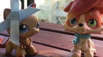 Mep part for: Julie Lps