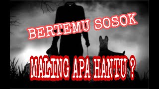 SAAT SISKAMPLING BERTEMU SOSOK HITAM, DIA MALING APA HANTU IHHH LARIII