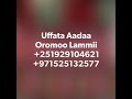 Uffata aadaa 251929104621