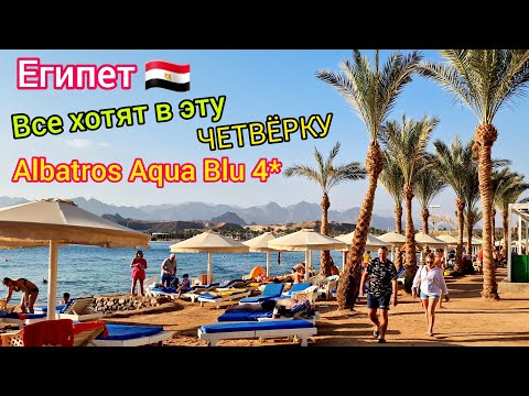 Лучшая ЧЕТВЁРКА в Египте 2023 ?? ТОП❗️ Отель Albatros Aqua Blu 4*. ВЫБОР ТУРИСТОВ в Шарм эль Шейхе