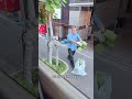 Japonlardan ahlak dersi | Çevre temizliği