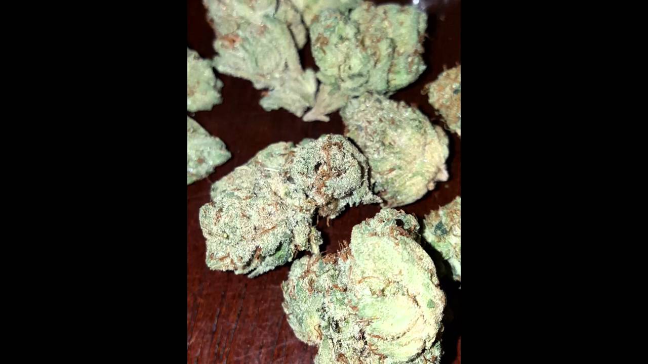 King Louie Sour Tangie  Sour Diesel wax..
