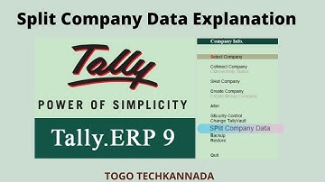 Tally - Split Company Data Explanation | Kannada |