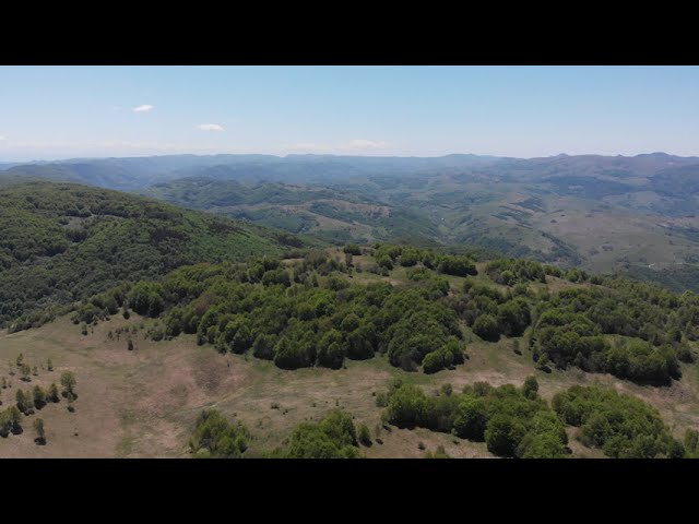 Bedeleu - Aries. Long Half Round :)