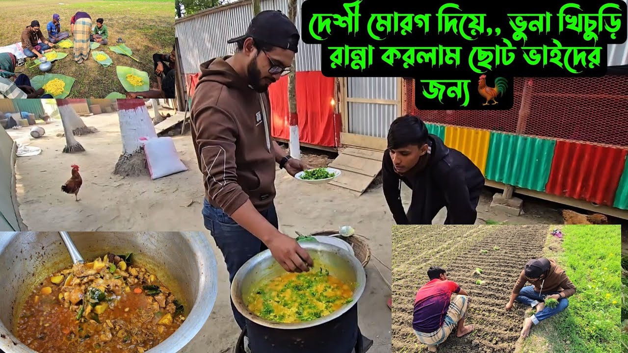 দেশী মোরগ দিয়ে,, ভুনা খিচুড়ি রান্না করলাম ছোট ভাইদের জন্য 🐓