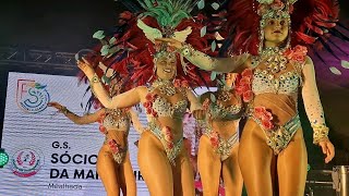 Sócios Da Mangueira - Beija Flor 2005 De Samba Estarreja 2024