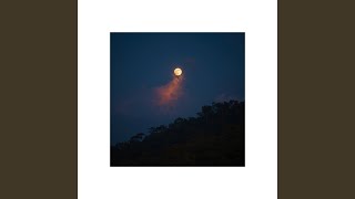 You’ll Never Walk Alone