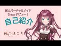 【新人VTuber】はじめまして!純乃ほこりです♡【自己紹介】