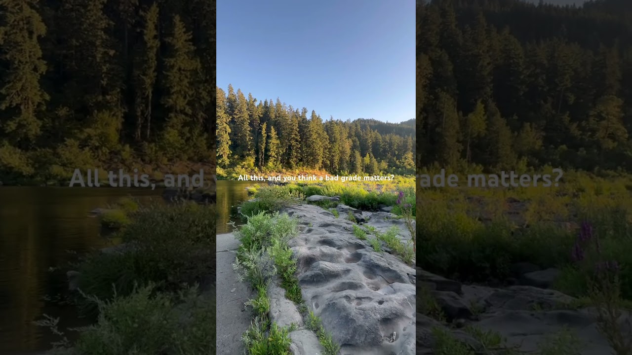 All this, and you think a bad grade matters? 