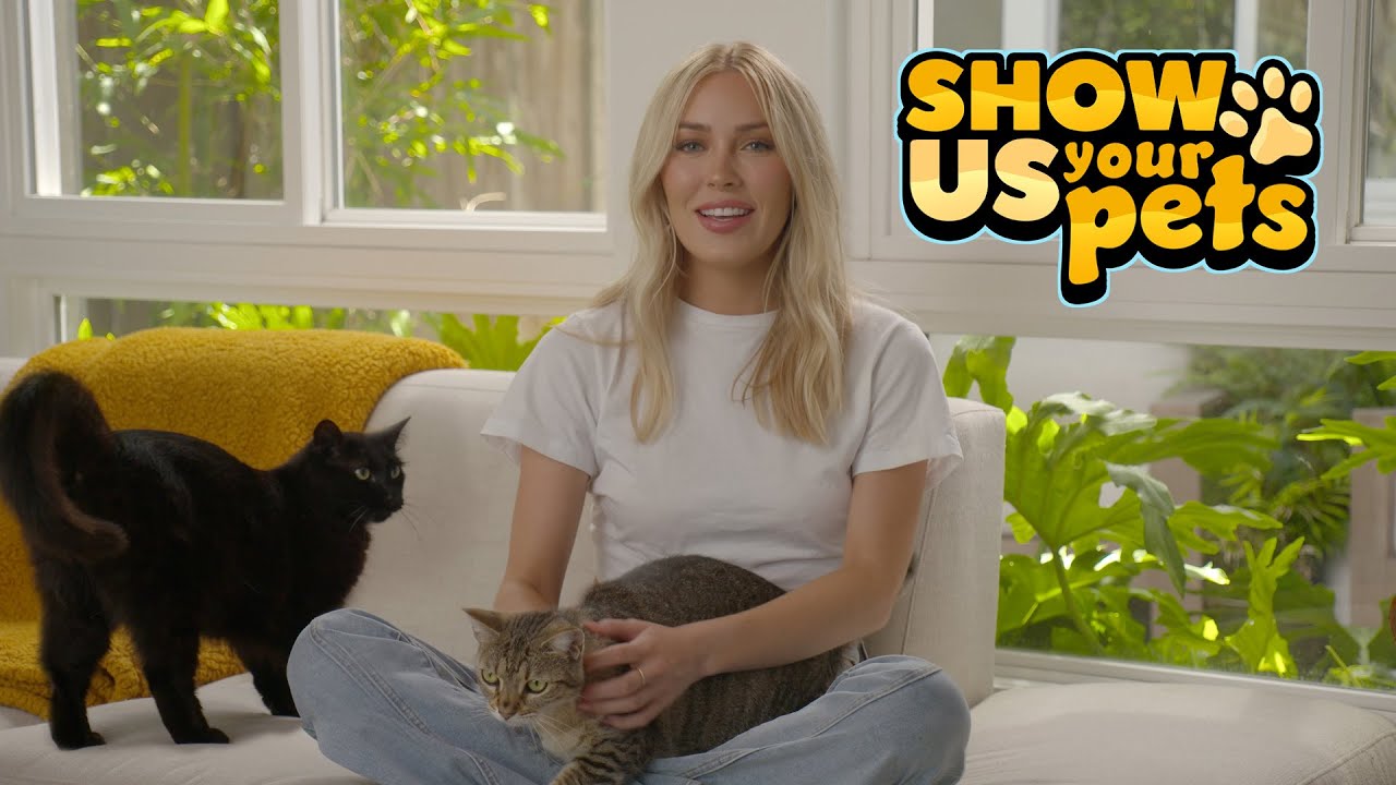 Cassie Randolphs Adorable Rescue Cats 😍| Show Us Your Pets
